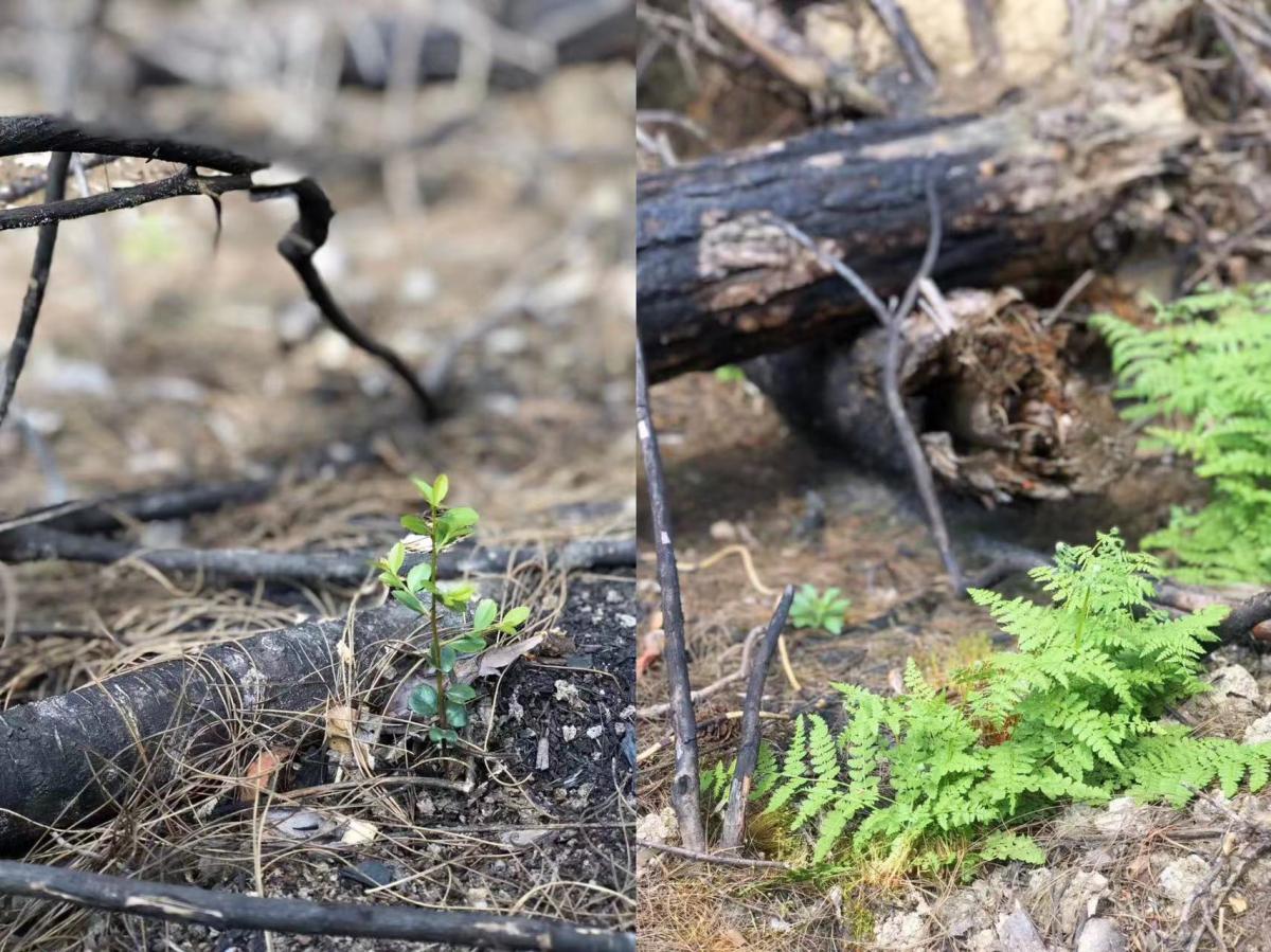 ΢ͼƬ_20230417134917